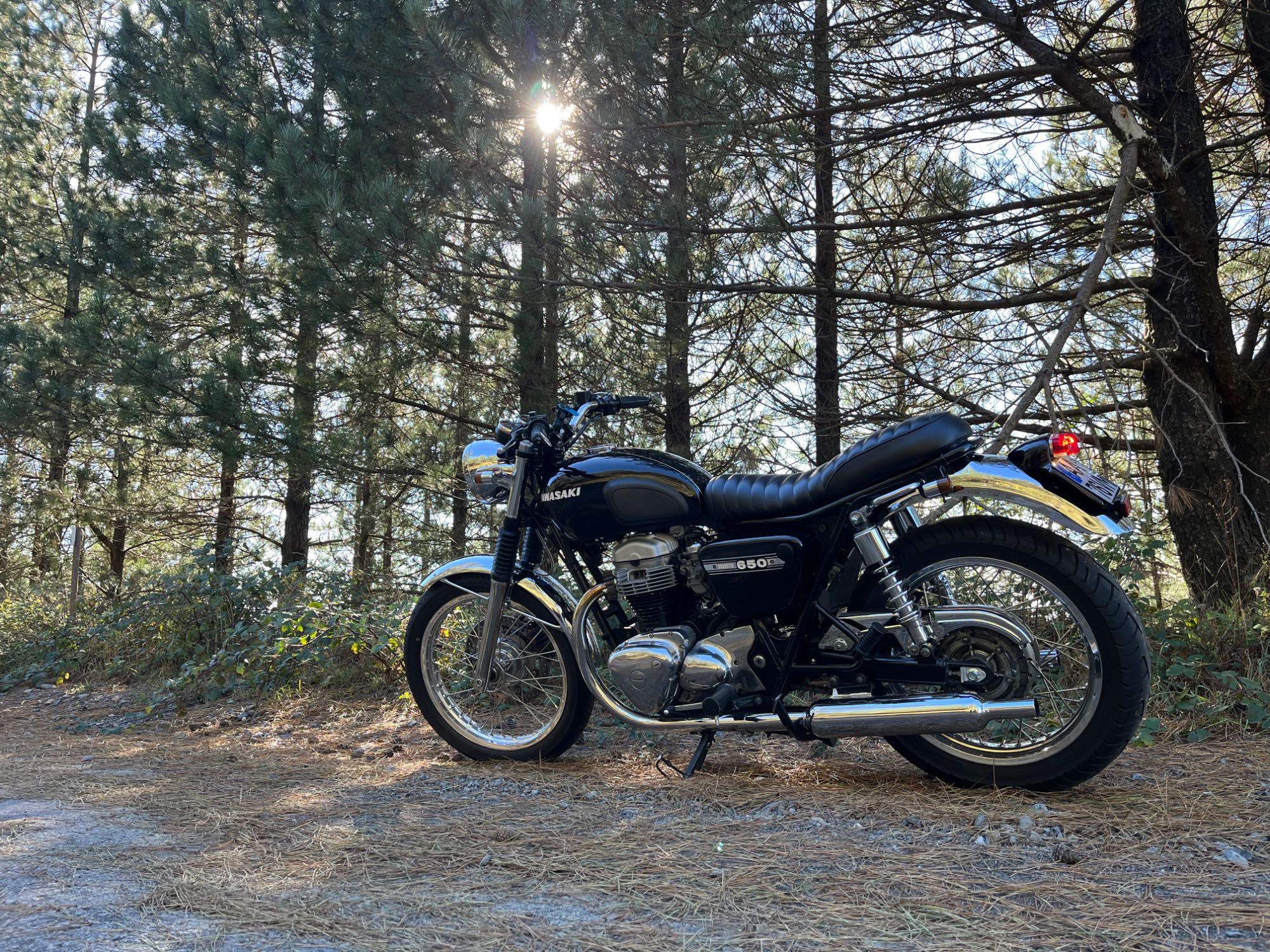 Kawasaki W650 (retro)