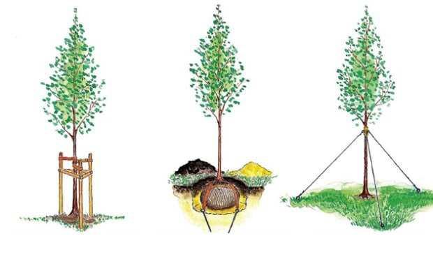 Анкер якір садовий. Шнековий анкер Заземляючий анкер