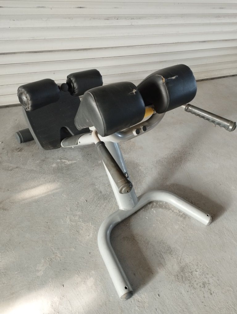 Ławka rzymska na prostownik grzbietu Technogym