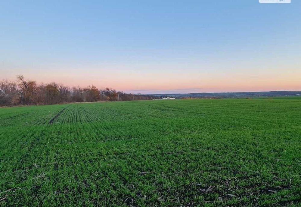 Гарна земельна ділянка розташована при в'їзді в село Ружичанка