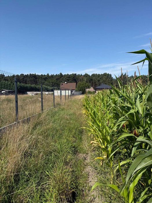 Sulęcinek działka budowlana 1750m2