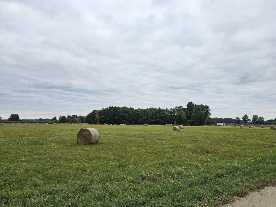 Działka rolna ziemia 2,91 ha łąka las