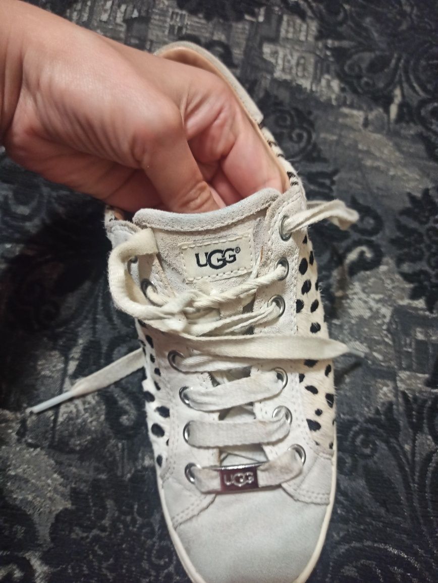 Кеды кожаные Ugg