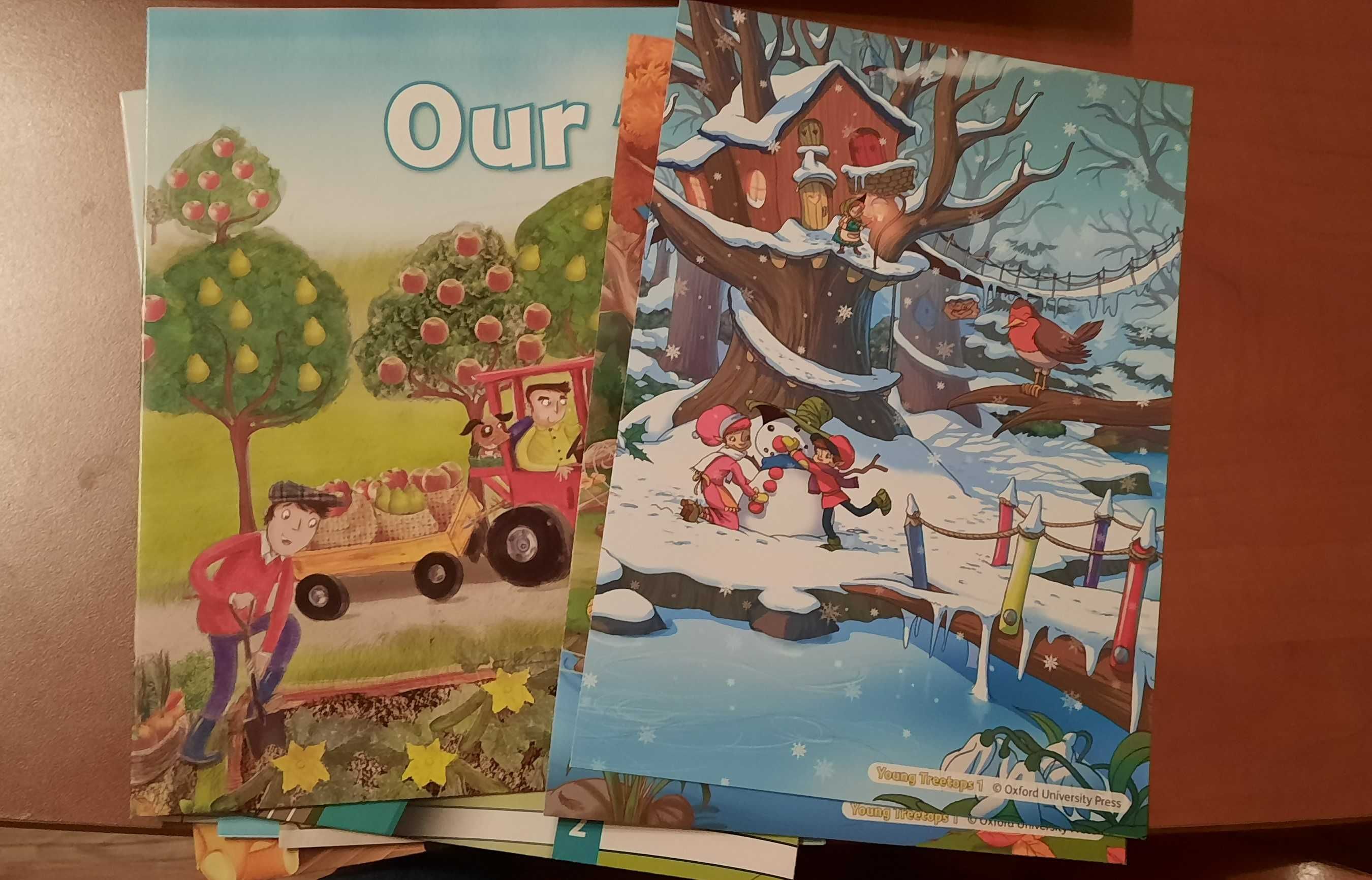 Young Treetops angielski klasa 1-3 karty obrazkowe płyty dvd