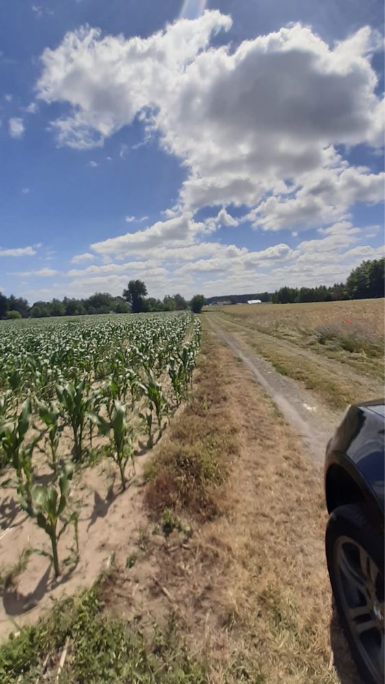 Działka rolna ziemia 1,59 ha