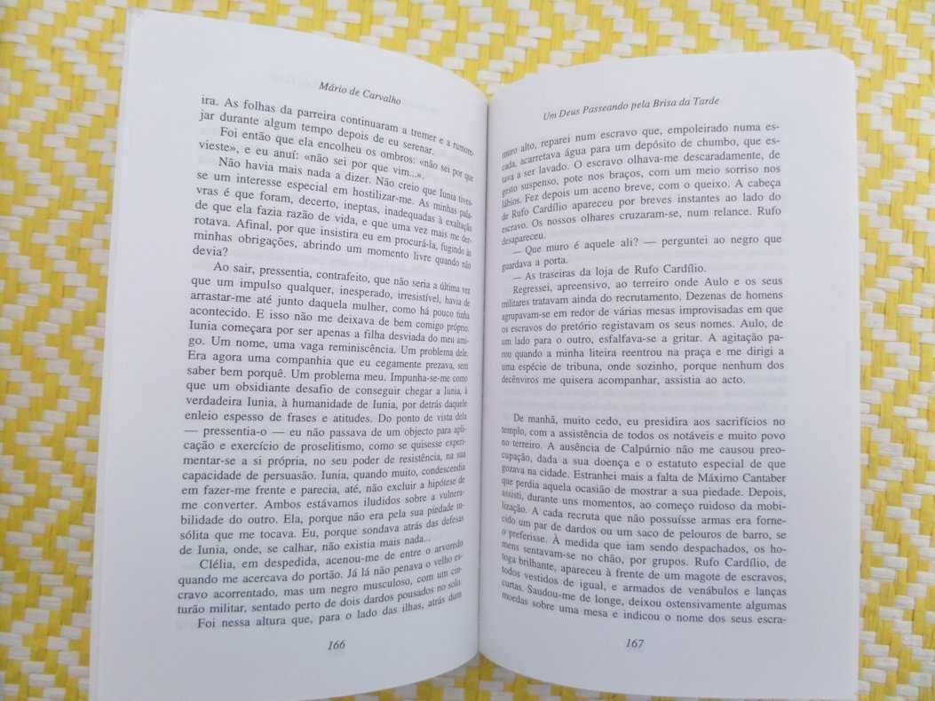 Um Deus passeando pela brisa da tarde
de Mário de Carvalho