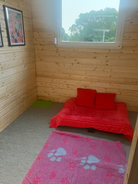 Luksusowy hotel dla psów i kotów Wesołe Łapki /Domowe warunki/profes..