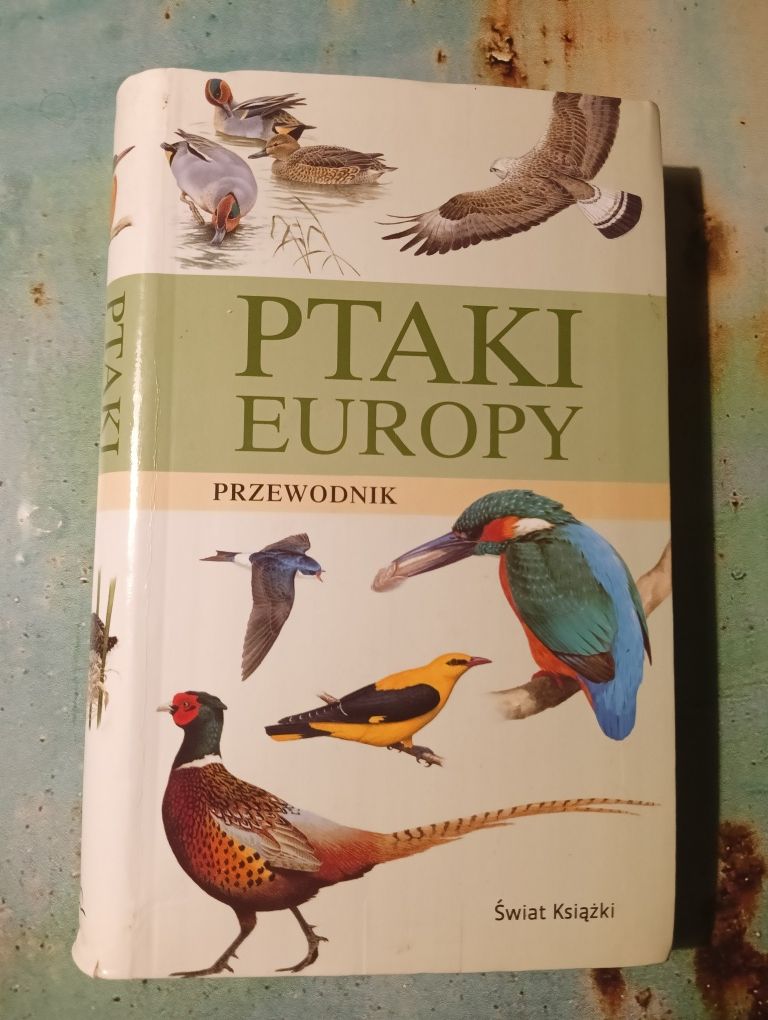 Przewodnik Ptaki Europy