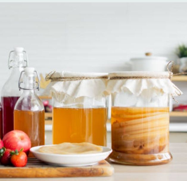 Grzybek herbaciany Kombucha+ starter