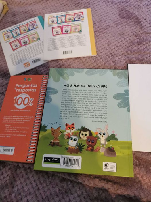 Conjuntos de livros da escola e um livro grande para ler todos os dias