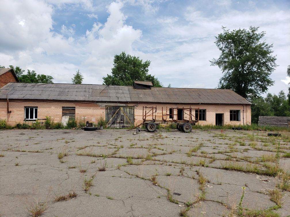 Продається виробниче приміщення  с. Серби