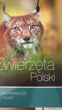 Zwierzęta  Polski