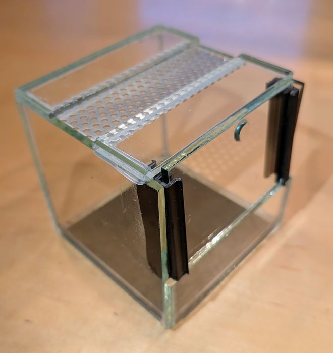 Terrarium 10x10x10 cm