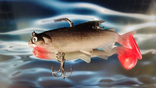 Przynęta Guma Zbrojona JAXON MAGIC FISH TX-H10D 10cm 24g