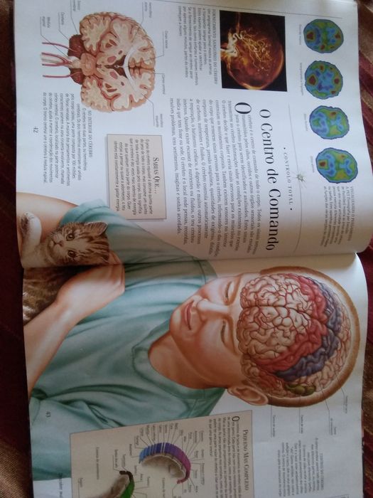 Enciclopédia O Corpo Humano