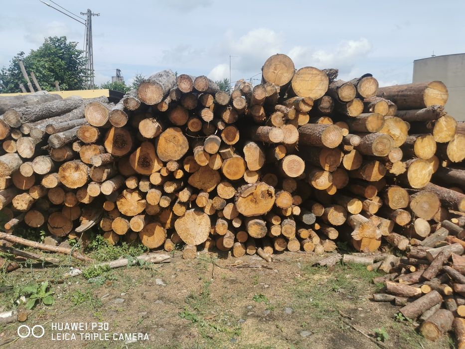 Drewno opałowe Sosna dąb brzoza drewno