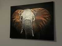 Obraz CANVAS ELEPHANT 113x85 cm