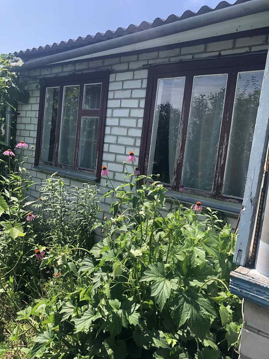 Продаж будинку в с.Перемога(60 км від Києва)