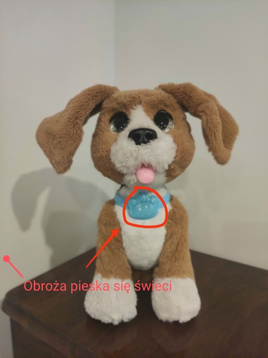 Interaktywny piesek Hasbro FurReal Friends Charlie/Używany