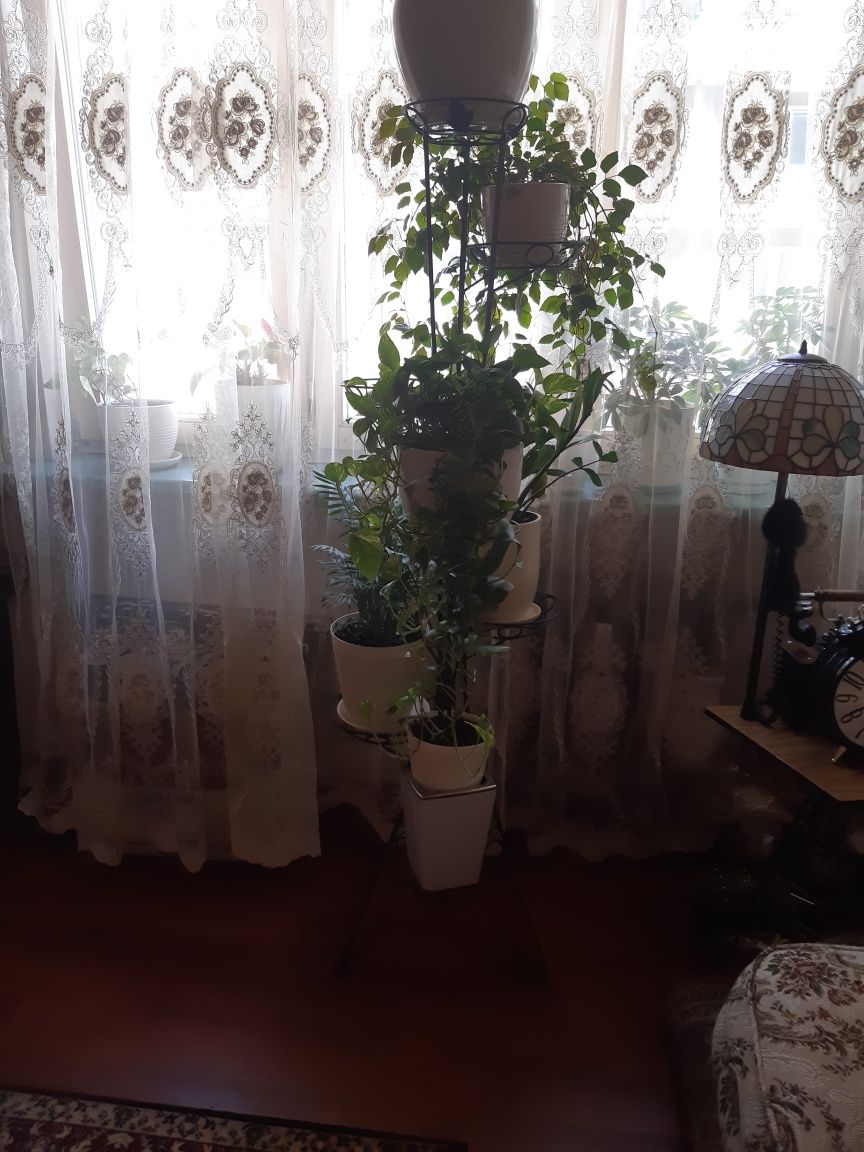 Stary metalowy kuty kwietnik 170 cm