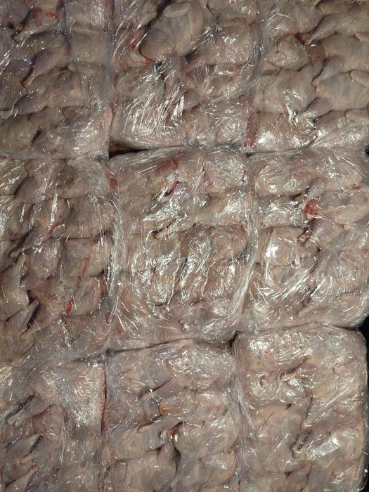 Тушки перепела по 250 грн