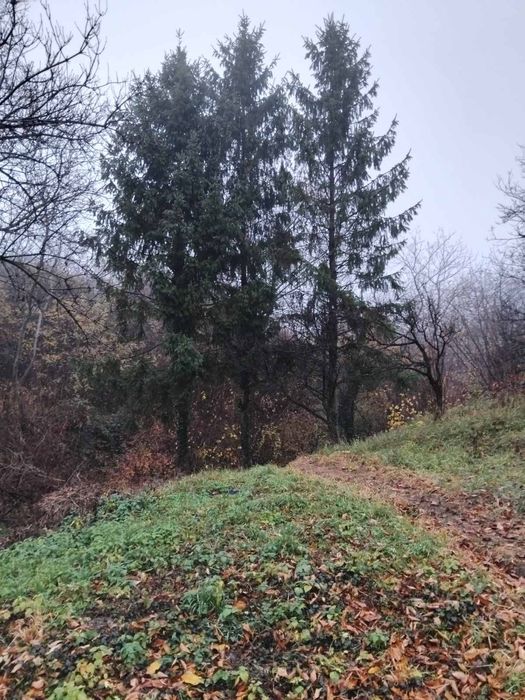 Продам дом Закарпатье Мужиево