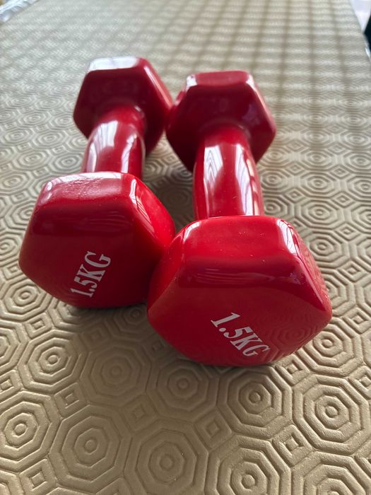 2 pesos para exercício de 1,5Kg