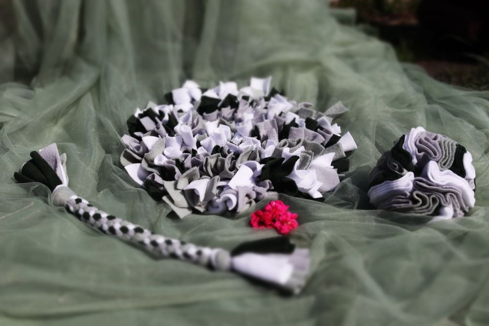 ZwierzoBox – zestaw kula, mata węchowa i szarpak dla psa