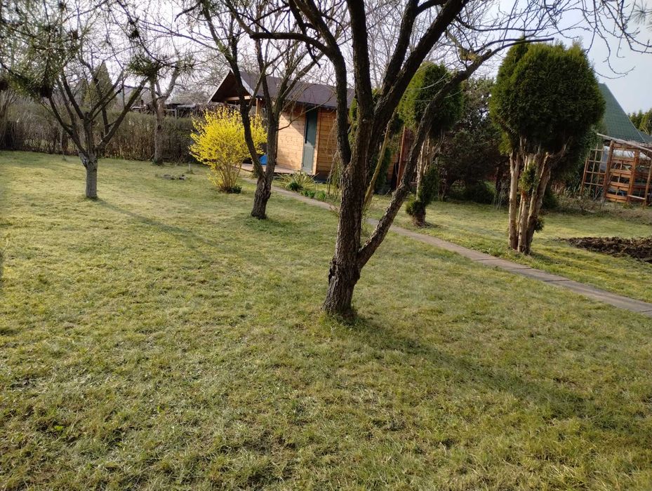 Altana ogrodowa wraz z wyposażeniem działki.