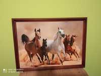 Obraz konie w galopie