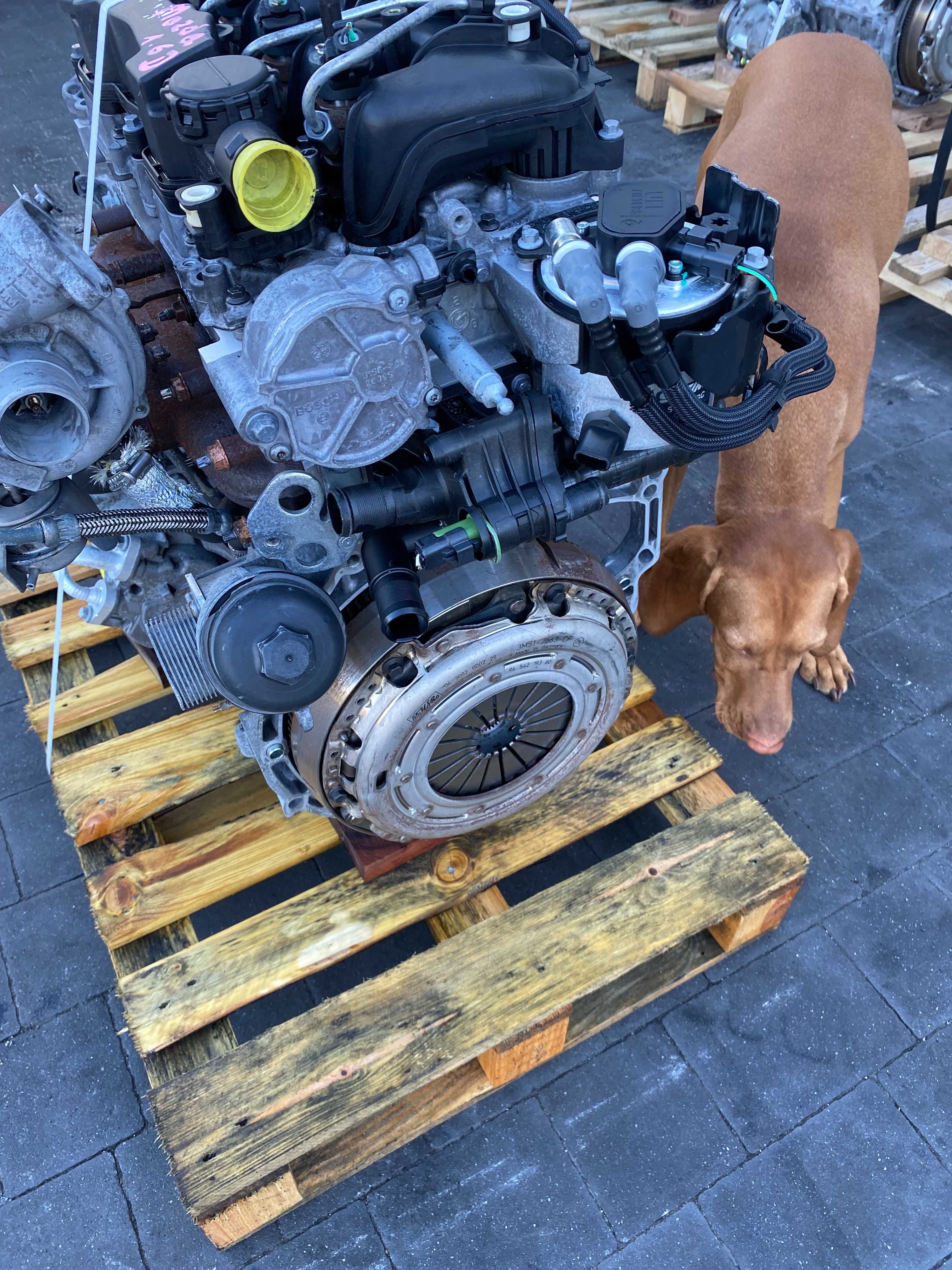 Silnik Focus II MK2 C-MAX 1.6TDCI 109KM G8DA G8DB