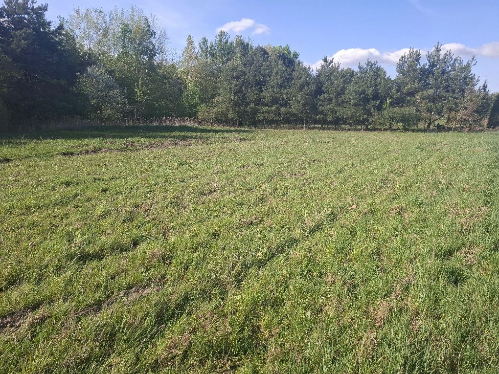 Działka budowlana w Jachrance, gmina Serock, pow. 1149m2