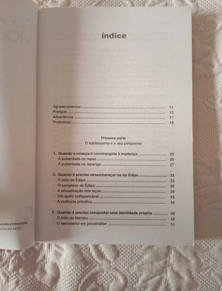 Os adolescentes violentos,  Yves Tyrode Stéphane Bourcet