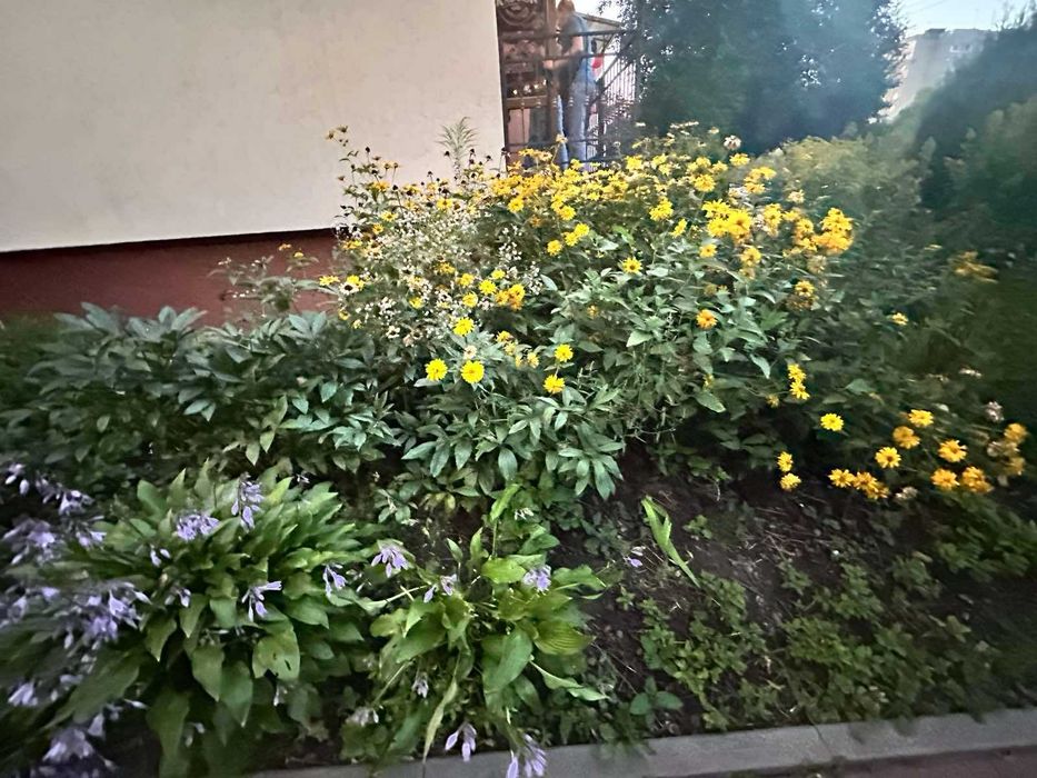 Оренда приміщення, євроремонт ,магазин .