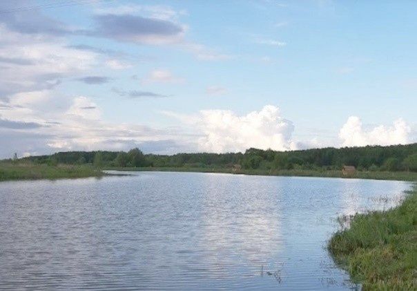 1,6-10 ГА біля заповідника з озером с Літки