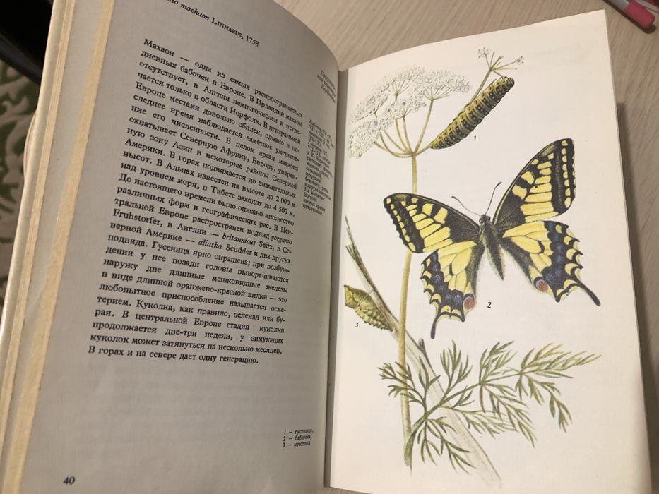 Книга «Бабочки». Артия