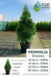 Tuja Szmaragd 120-140cm PROMOCJA | TRANSPORT | ZIEMIA | KORA