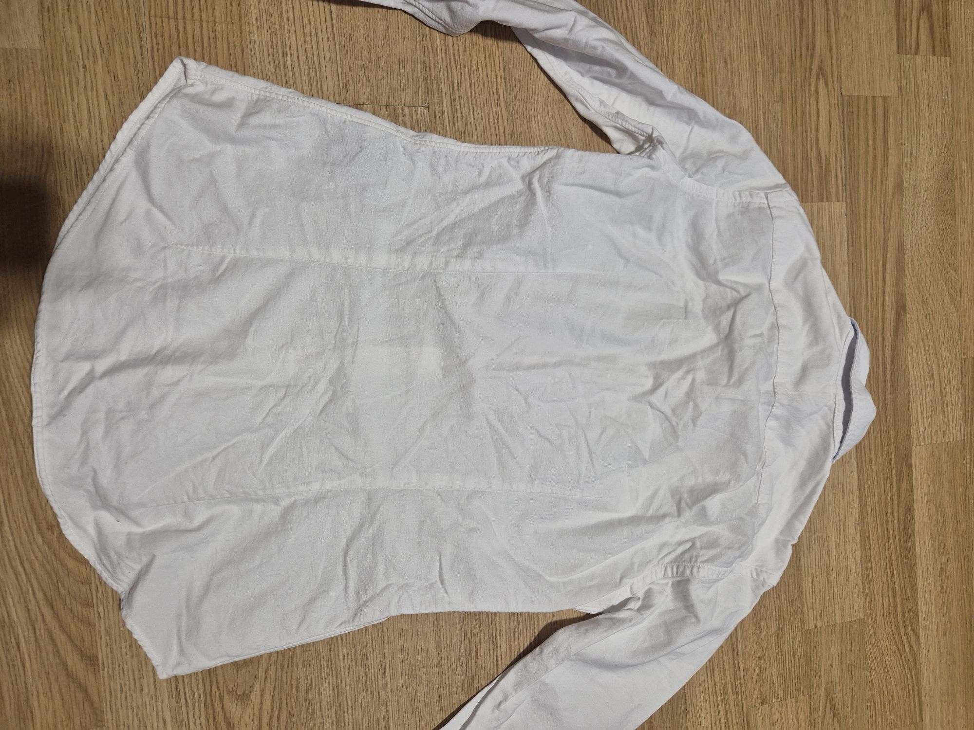Koszula, koszulka, Ralph Lauren, Tommy Hilfiger