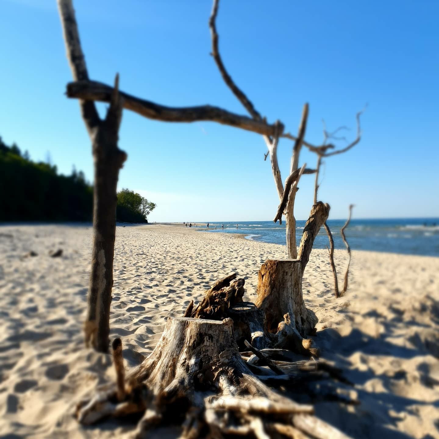 domek nad morzem Rozewie Jastrzębia Góra Leśna Łąka do wynajęcia