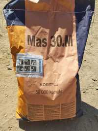 Kukurydza nasiona materiał siewny MAS 30.M