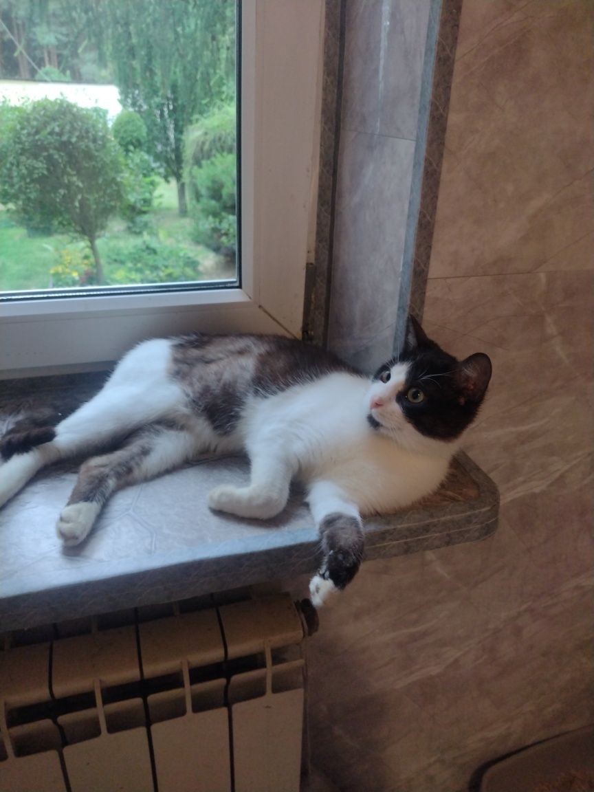 Cudowny Tymianek szuka domu