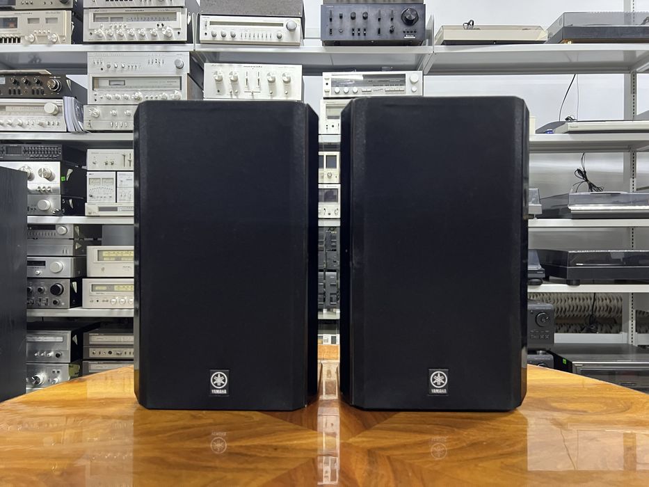 Kolumny podstawkowe Yamaha NX-E100, Audio Room