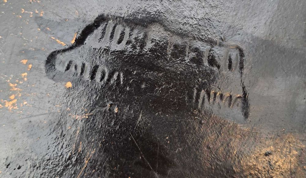 Par de gatos Caldas da Rainha Belo