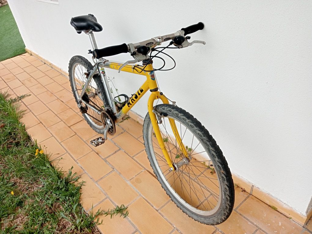 Vendo as duas bicicletas juntas, por 100.00 €.