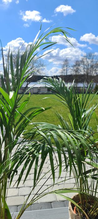 Domki- Apartanent Bania Sauna Spa, Apartamenty Nad je