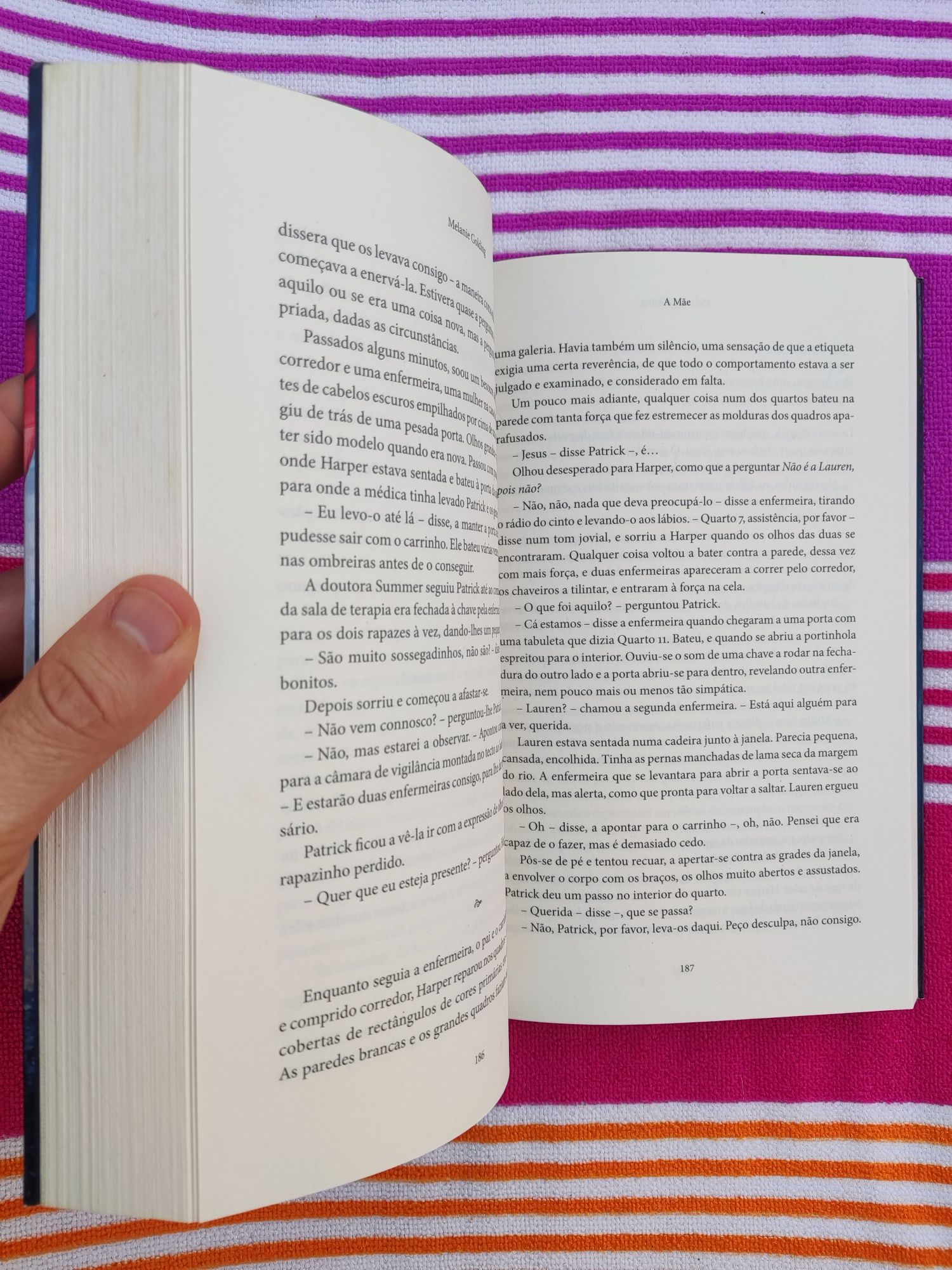 Livro: A mãe (Melanie Golding)