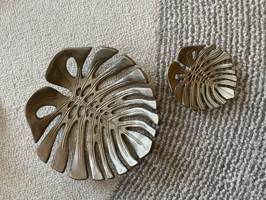 tace monstera w bardO dobrym stanie