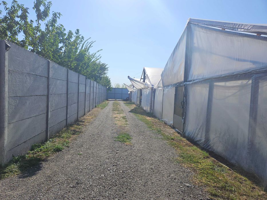 Продаж  будинку і готового бізнесу з ділянкою на 100 соток,