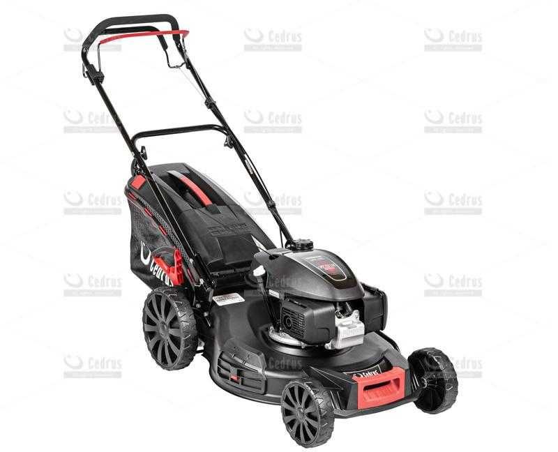 Kosiarka spalinowa Cedrus KS56S-H silnik HONDA GCV200