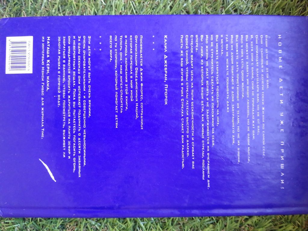 Книга дети Индиго